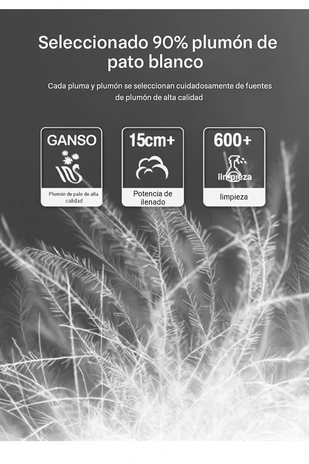 Ariston | Veste Hybride Premium